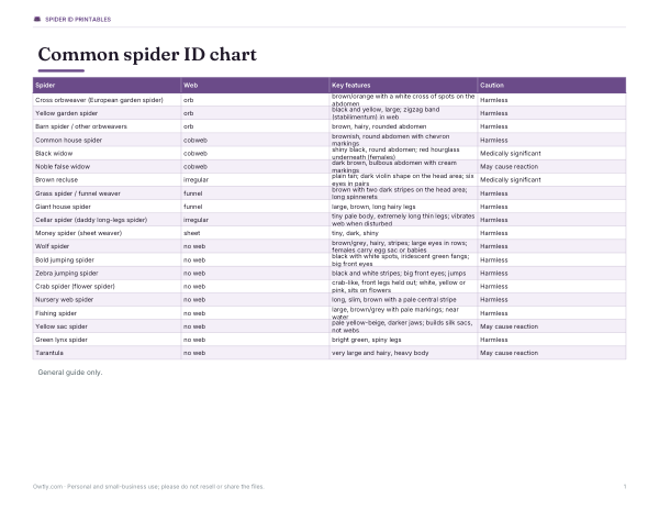 Preview of Printable Spider ID Chart