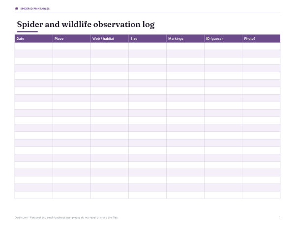 Preview of Printable Spider Observation Log